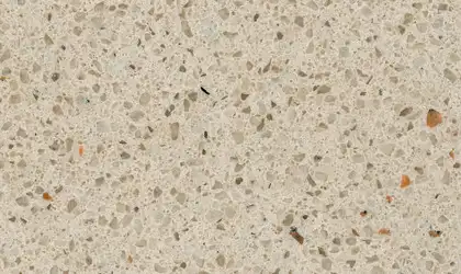 Image of Item