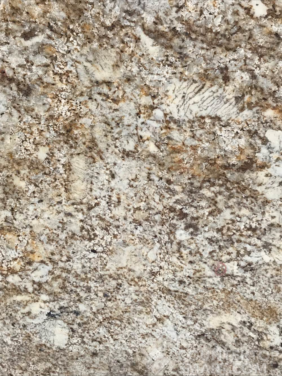 Closeup image of Desert Beach Brown Granite countertop slab