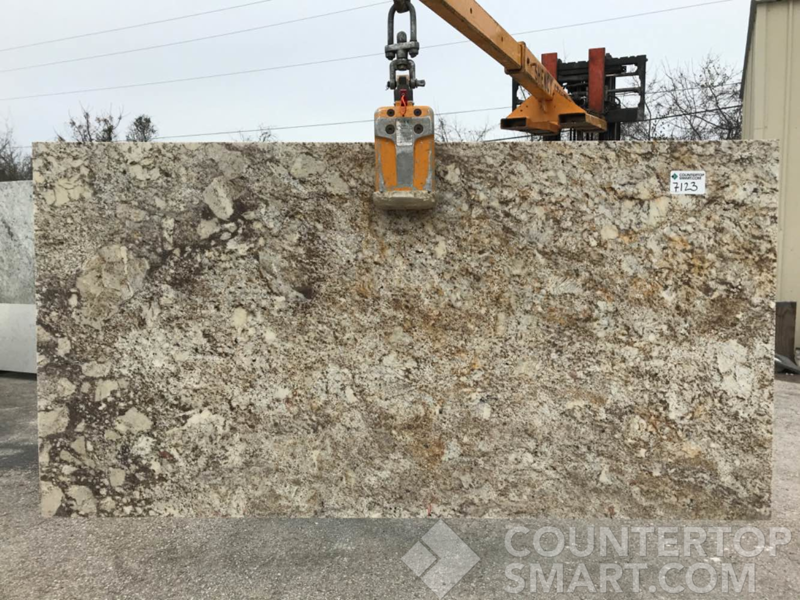 Full image of Desert Beach Brown Granite countertop slab
