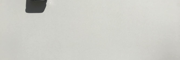 Image of Item