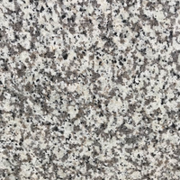 Closeup image of Valle Nevado Granite countertop slab