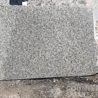 Full image of Valle Nevado Granite countertop slab