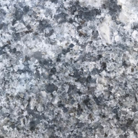 Closeup image of Azul Platino Granite countertop slab