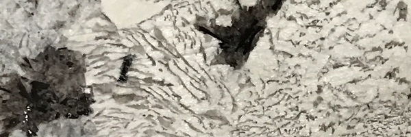 Image of Item
