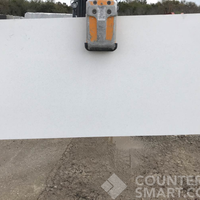 Full image of Obsolete Remnants Marble countertop slab