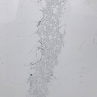 Closeup image of Obsolete Remnants Marble countertop slab