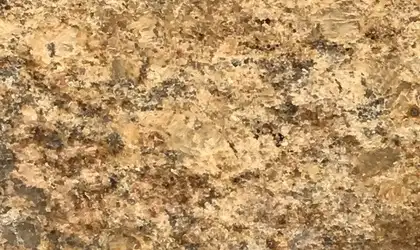 Image of Item