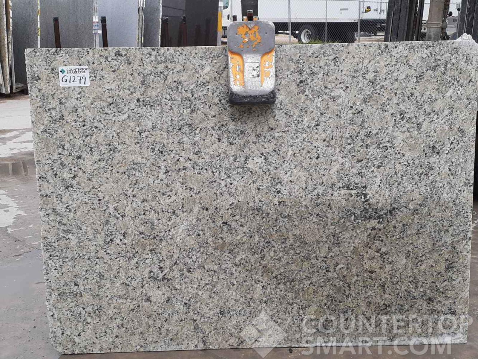 Closeup image of Obsolete Remnants Marble countertop slab