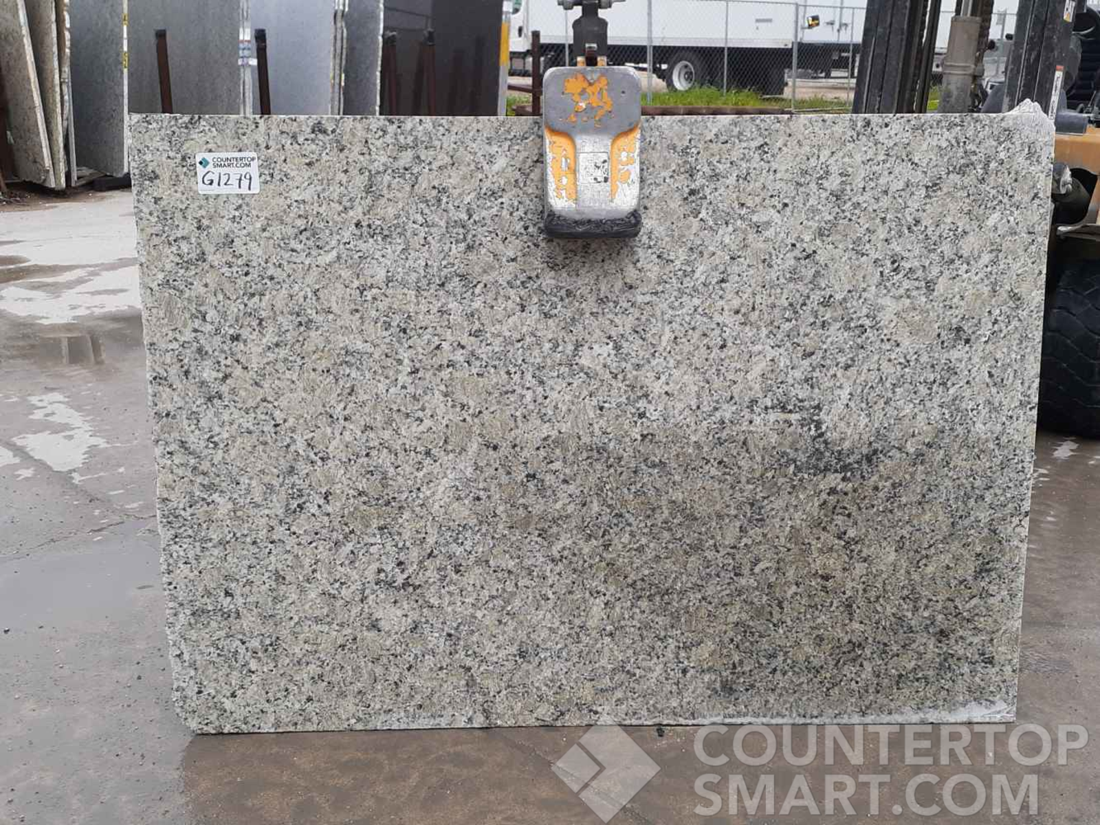 Full image of Obsolete Remnants Marble countertop slab