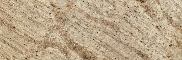 Image of Item