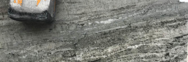 Image of Item
