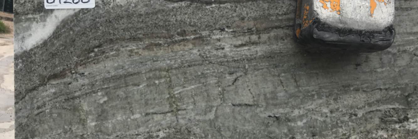 Image of Item