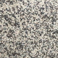 Closeup image of Bianco Antico Grey Granite countertop slab