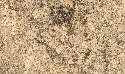 Image of Item