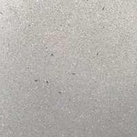 Closeup image of Caesarstone Sleek Concrete Quartz countertop slab