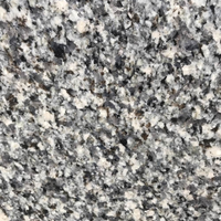 Closeup image of Azul Platino Granite countertop slab