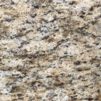 Closeup image of Giallo Ornamentale Granite countertop slab