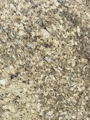Image of Item