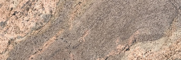 Image of Item