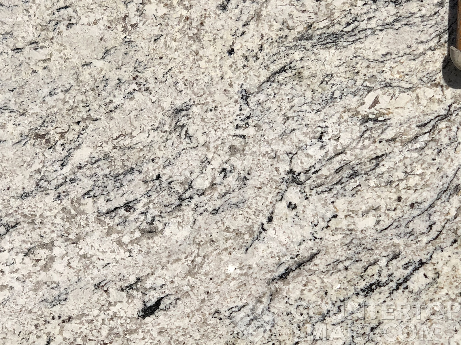 Image of Item