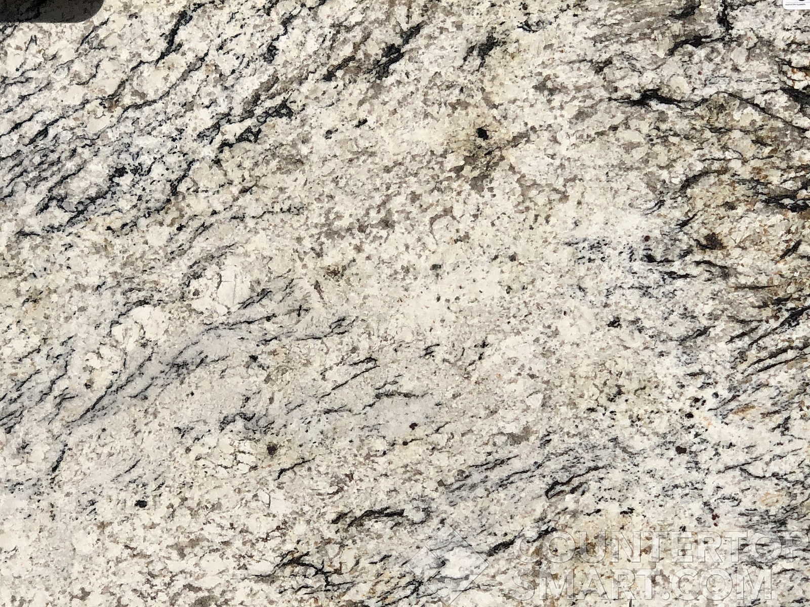 Image of Item