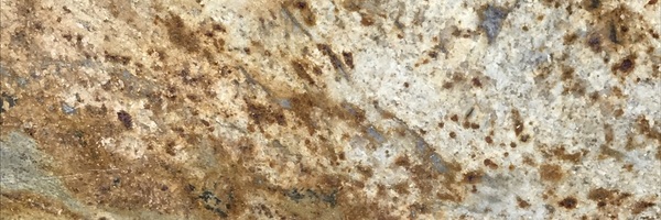 Image of Item