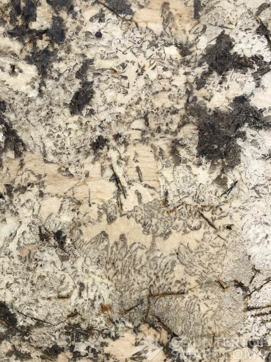 Closeup image of Delicatus Cream Granite countertop slab