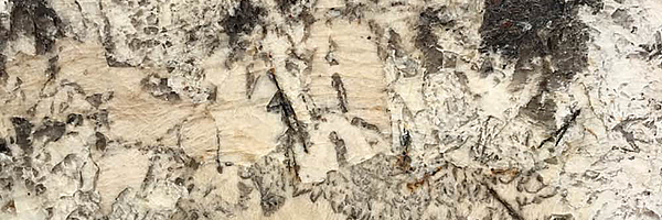 Closeup image of Delicatus Cream Granite countertop slab