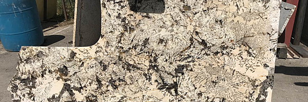 Full image of Delicatus Cream Granite countertop slab