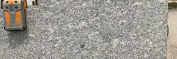 Image of Item