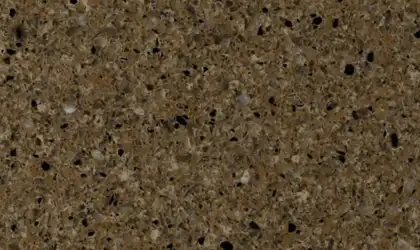 Image of Item