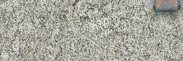 Image of Item