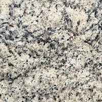 Closeup image of Dallas White Granite countertop slab