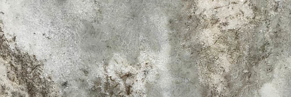 Closeup image of Fantasy Brown Granite countertop slab