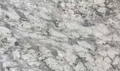 Closeup image of Thunder White Granite countertop slab