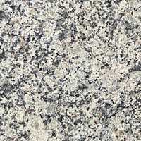 Closeup image of Dallas White Granite countertop slab