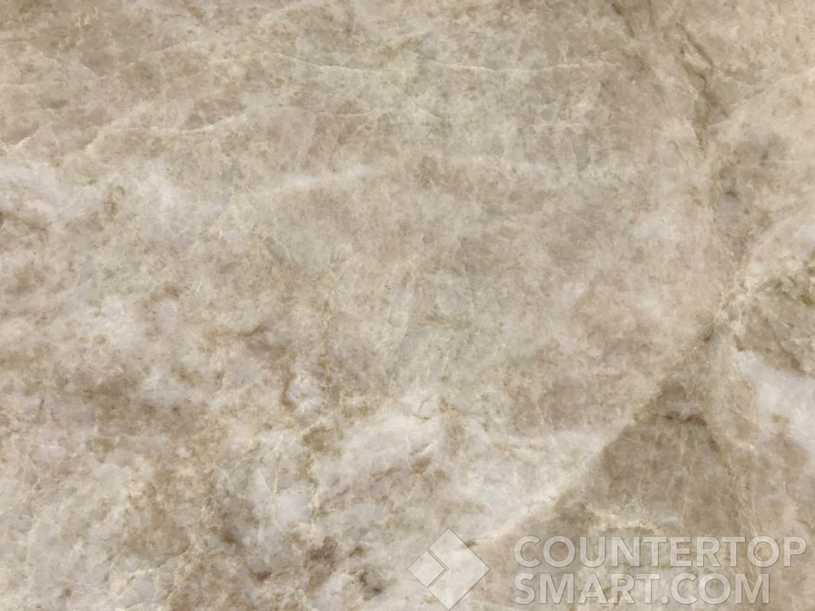 Closeup image of Taj Mahal Grey Quartzite countertop slab