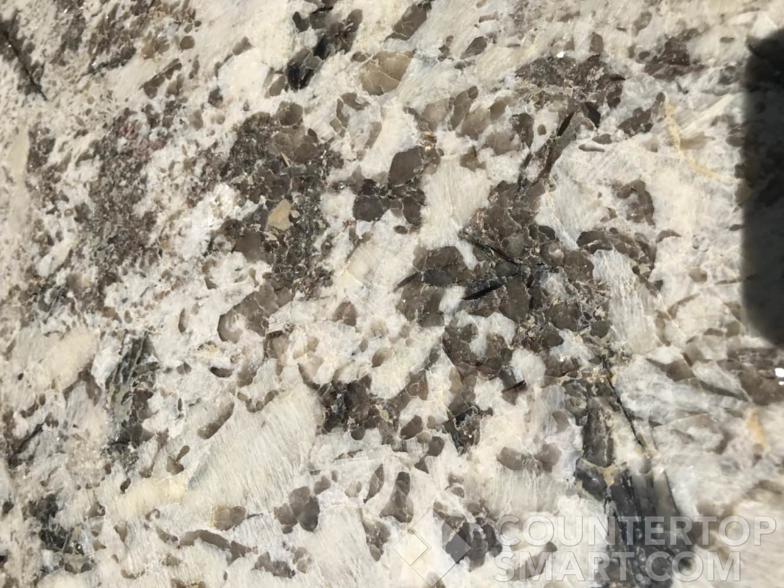Closeup image of Bianco Antico Grey Granite countertop slab