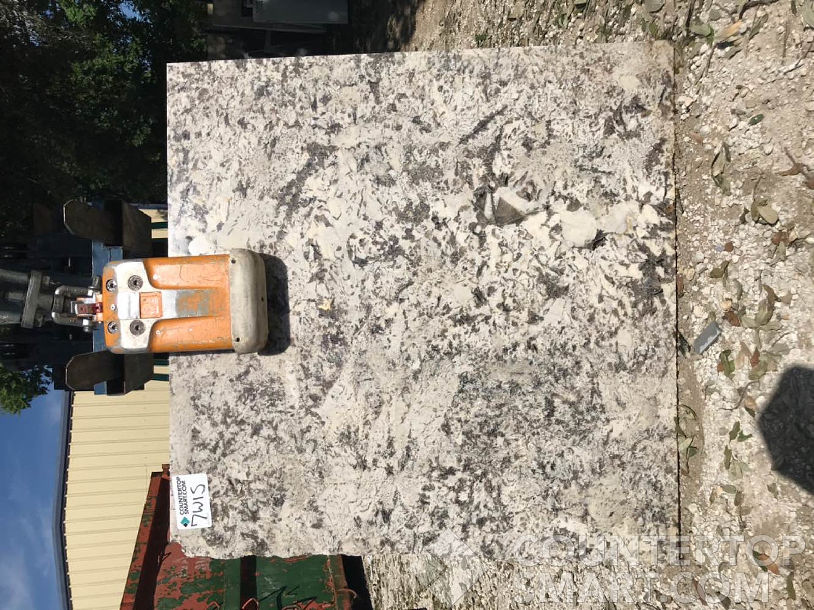 Full image of Bianco Antico Grey Granite countertop slab