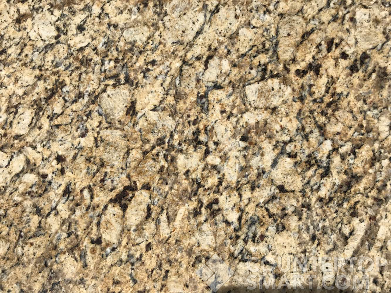 Closeup image of Santa Cecilia Brown Granite countertop slab