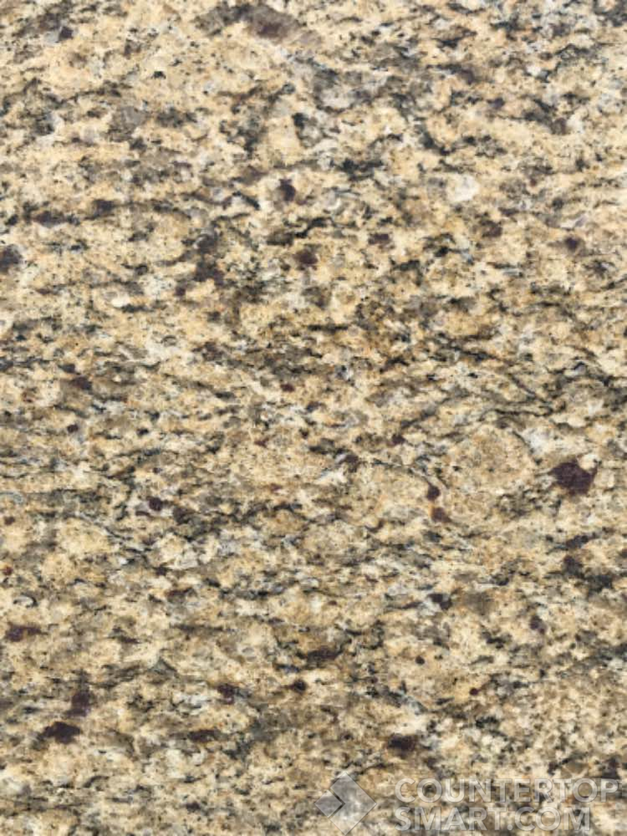 Closeup image of Santa Cecilia Brown Granite countertop slab