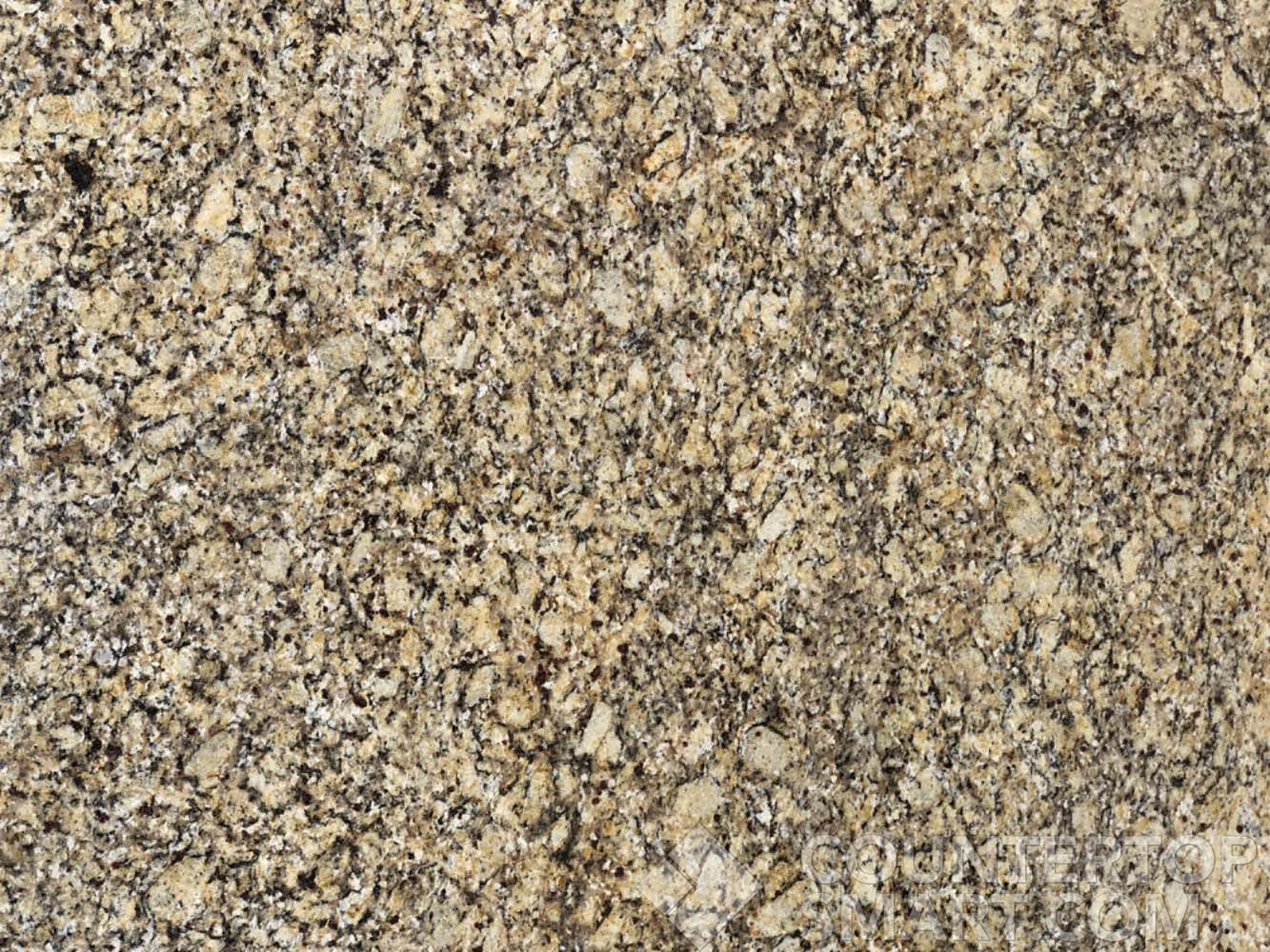 Closeup image of New Venetian Ice Granite countertop slab