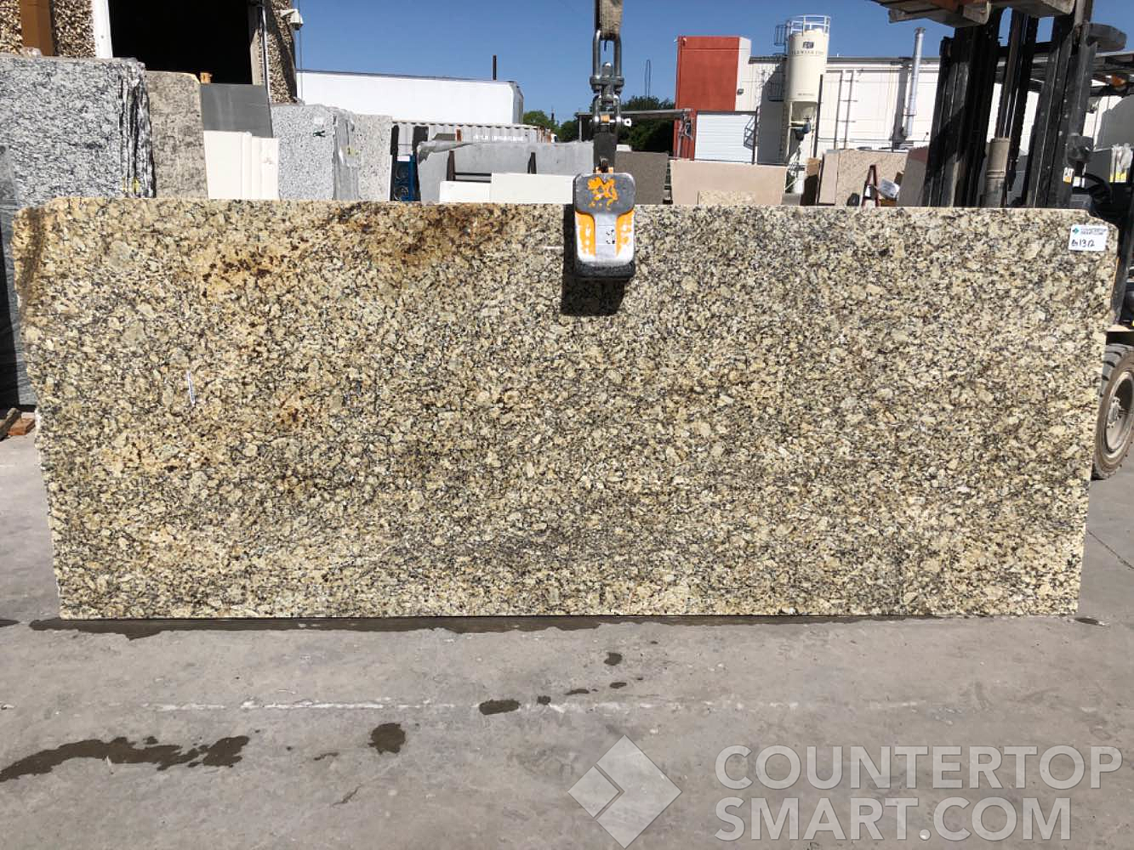 Full image of New Venetian Ice Granite countertop slab
