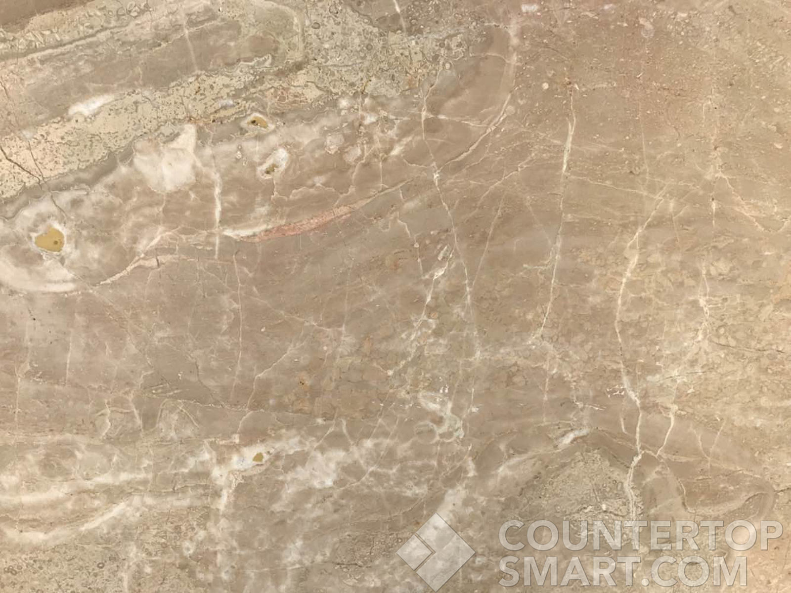 Closeup image of Daino Reale Brown Marble countertop slab
