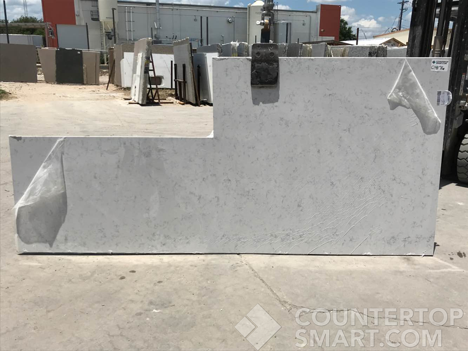 Full image of Obsolete Remnants Marble countertop slab