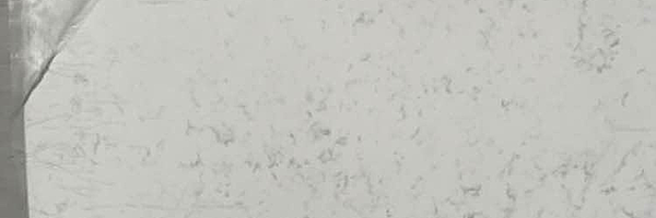 Image of Item