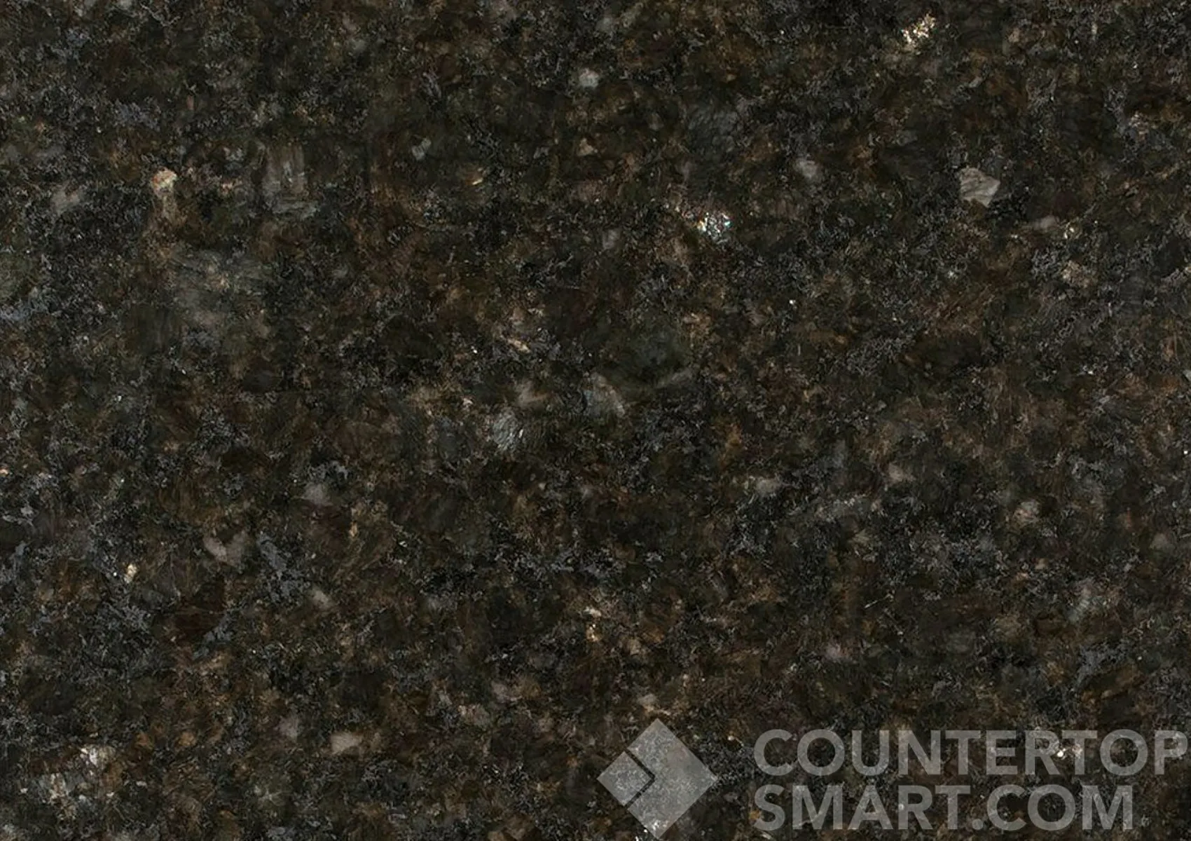 Image of Item