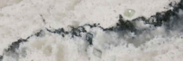 Image of Item