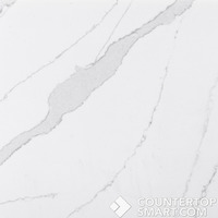 Image of Item