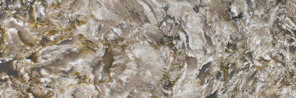 Image of Item